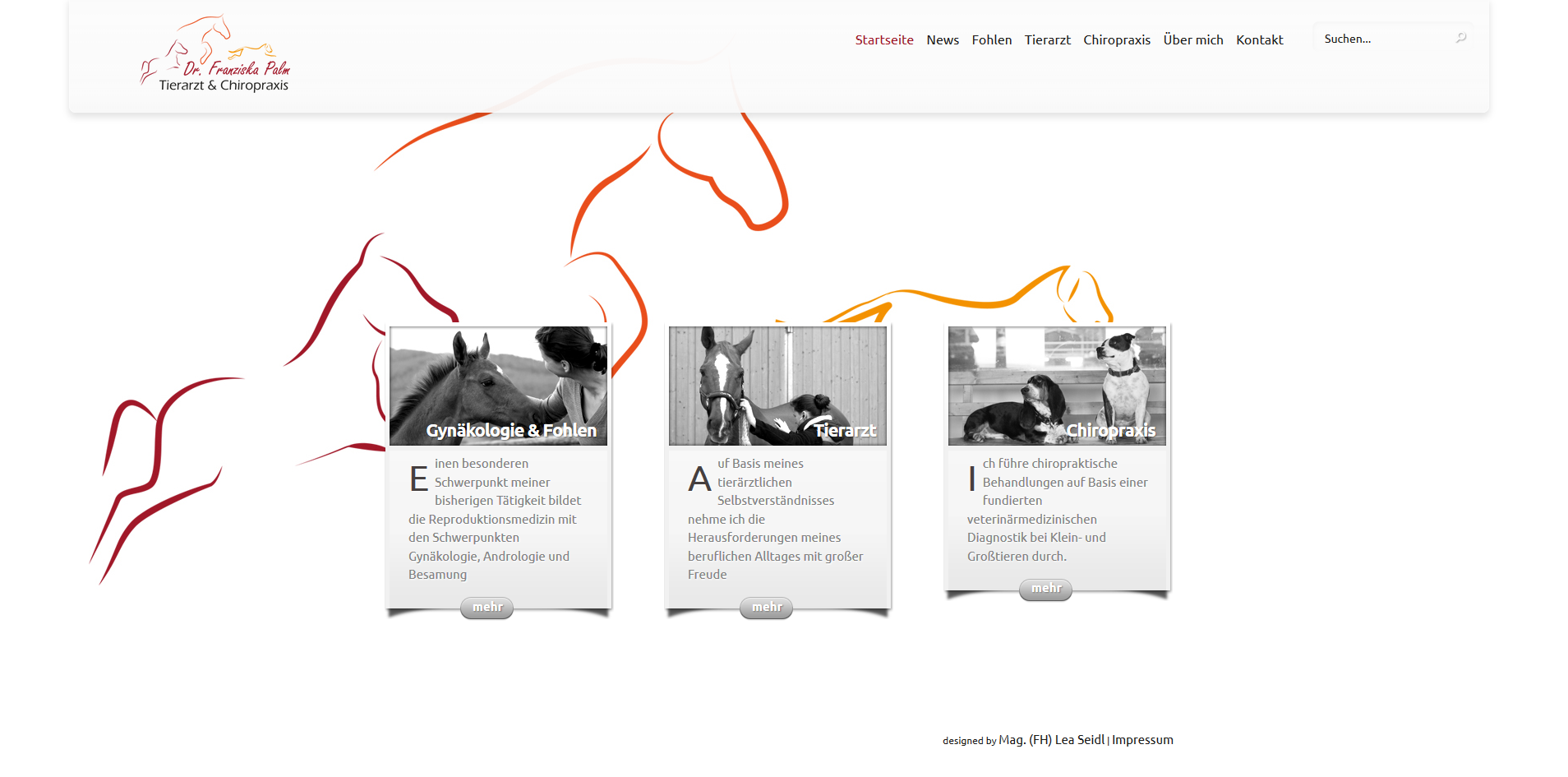 Tierarzt Website Homepage erstellen lassen Webdesign Agentur