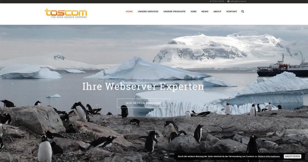 toscom Website Wordpress SEO Woocommerce